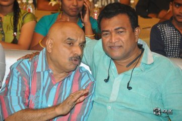 Ammammagarillu Movie Pre Release Function Photos